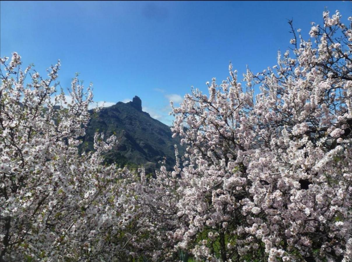 تيخيدا Casa Rural Juan Y Juana Canino المظهر الخارجي الصورة